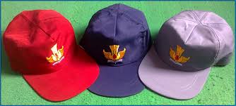 Dari warna tahi telinga hinggalah warna najis anda, semuanya menunjukkan apa yang sedang berlaku pada tubuh anda. Arti Lambang Pada Topi Sekolah