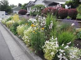 Pin On Hellstrip Gardening