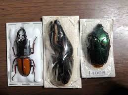 蟲眼鏡の蟲日記 - ライブドアブログ