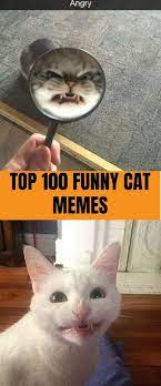 List Of Best And Latest Funniest Cat Memes And Pics Cat Humor Memes Wallpaper Funny Cat Memes Cat Memes Scary Cat