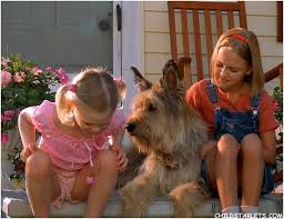 Elle Fanning Because Of Winn Dixie Movie Photos Because Of Winn Dixie 2005 Winn Dixie Elle Fanning Child Actresses