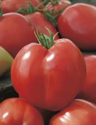 We did not find results for: Tomato Oxheart Tomato Seeds Vegetable Seeds By Mr Fothergill S