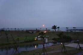 林園紅樹林生態區 taiwan travel scenery travel guide