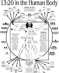 Pin By Ryan Patrick On Mayan Calendar Human Body Spirit Science Mayan Astrology