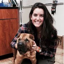 For pets sake ⭐ , united states, baltimore, 6314 falls road: For Pet S Sake With Dr Devon Smith House With A Heart