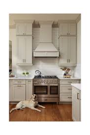 We did not find results for: Cabinet Over A Chimney Style Hood Too Strange
