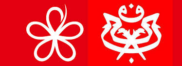 Image result for 土团巫统