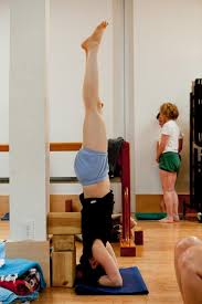 What Is Yoga The Benefits Of Yoga Coach Yoga Iyengar Yoga Yoga Asanas Lyengar Yoga