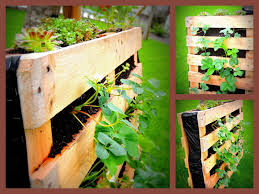 Erdbeerbeet Einmal Anders Diesmal Gibt Es Von Mir Kein Neues Rezept Sondern Eine Gartenidee Fur Alle Die Erdbeeren Erdbeerbeet Paletten Pflanzen Gartenarbeit