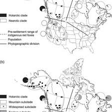 Geographic Distribution Of Cytochrome B A And D Loop B