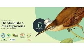 Pin On Riviera Nayarit Events