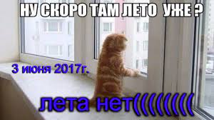 Где же твой смех, свет и тепло? Teplo Ty Gde Leto Zabludilos Uzhas 3 3 Iyunya 2017god Youtube