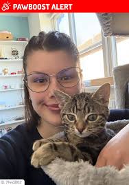 I'm not sure if anyone has reported already but I'm sad to say there is a  short haired ginger looking cat that has passed