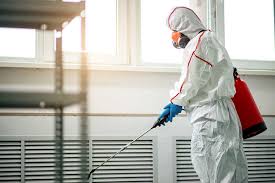 Image result for Decontamination