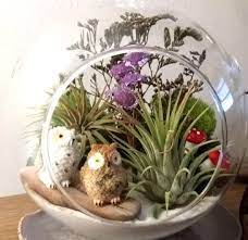 Large 6 Hanging Or Standing Air Plant Terrarium Kit Owl Terrarium Gift By Giftedglassgardens On Etsy Air Plant Terrarium Terrariums Kits Air Plants