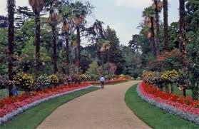 Praktische informatie over de belangrijkste bezienswaardigheden, reistips, accommodatie en meer. Aujourd Hui Jai Teste Pour Vous Le Jardin Massey A Tarbes Dans Le 65 Aujourd Hui J Ai Teste Pour Vous