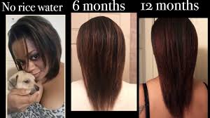 How I Repaired My Damaged Hair With Rice Water 1 Year Hair Growth Youtube 1 Year Hair Growth Damaged Hair Hair Growth Diy