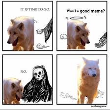 Looks like the laughing wolves meme are here to stay, will be interesting to see how popular this format gets. It S Time To Go Two Laughing Wolves And One Serious Wolf Memes