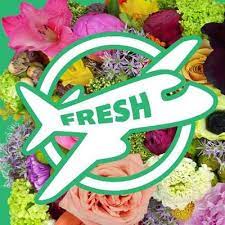 Jet fresh flowers miami florida. Jet Fresh Flowers Jetfreshflowers Twitter