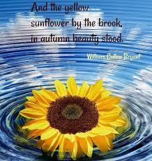Advice from a bear outline jumbo magnet. Sunflower Quotes 20 Best Sunflower Sayings With Images