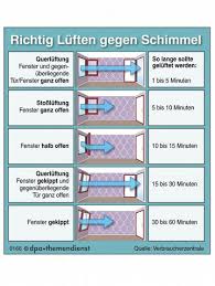 Aber wie lüftet man die wohnung richtig? Keimverschleppung Nein Danke Housekeeping Bienenbuettels Jimdo Page