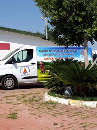 Ermenek Hayvan Barinagi Ve Antalya Candost Dernegi Facebook