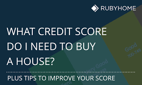 Use card at best buy, pay 0% apr on purchases What Credit Score Is Needed To Buy A Home