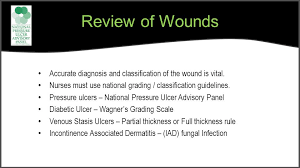 Oasis Outcome And Assessment Information Set Wound