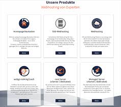 Management herausragender premium support von centron mit 24/7/365 service. Ist Webgo Der Richtige Webhoster Fur Dich