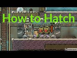 0:00 setting up a critter stable: How To Butcher Hatches For Bbq Oxygen Not Included General Discussions