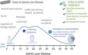 Check spelling or type a new query. Adhd And Accidents Over The Life Span A Systematic Review Sciencedirect