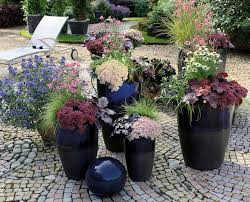 12 robuste stauden für den garten. Herbstbepflanzung Ideen Fur Topf Und Beet Mein Schoner Garten