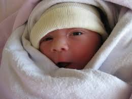 Camille's Birth Announcement