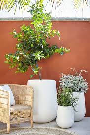 A Collaboration Between Adam Robinson And Garden Life Moderno Gavitella Pot Available In Grey And Whit Outdoor Patio Decor Patio Garden Apartment Patio Decor