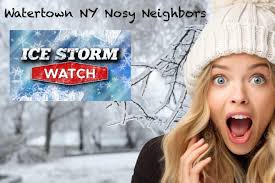 It's a cold but sunny day here in Waterloo, Ontario and many of my  neighbours are enjoying it to the max