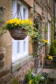 Maybe you would like to learn more about one of these? Hanging Baskets A Beginner S Guide Topline Ie