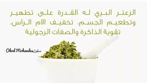 فوائد الزعتر البري Healthy Eating Diets Herbs Healthy Life