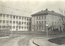His father nicu iorga (a practicing lawyer) and mother zulnia (née arghiropol) belonged to the romanian orthodox church. Despre Noi È™coala GimnazialÄƒ Nicolae Iorga Baia Mare