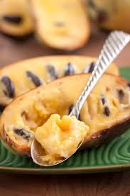 The pawpaw tree bundle is one of ogw's most popular ways to get your pawpaw patch going or add to your collection and enjoy delicious homegrown pawpaws at home or in your food forest. Buy Paw Paw Tree Asimina Triloba Free Shipping 5 Gallon Size For Sale Online From Wilson Bros Gardens