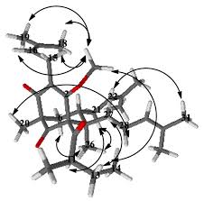 Image result for Hypericum peplidifolium