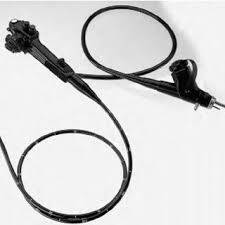 Maybe you would like to learn more about one of these? Pdf Flexible Gastrointestinal Endoscopy In Ferrets Mustela Putorius Furo