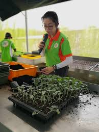 Download free video malaysia technology excellence awards 2021 winner: Greenhouse Kf Vegetable Wholesale