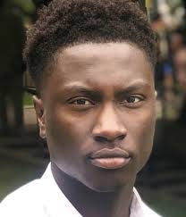 2020 CSTEP Research Program