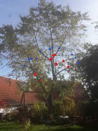 Hier sieht der mieter, wie hoch die. Kirschbaum Radikal Schneiden Gartenforum Stelle Eine Frage In Der Community
