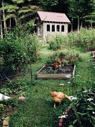 Schrebergarten Einrichten So Wird Die Gartenlaube Zum Cottage In 2020 Messy Garden Garden Gazebo Dream Garden