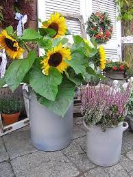 pin auf herbstliches landhaus