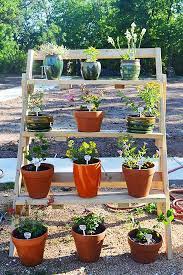 Keep these rules in mind to ensure that your potted plants survive. No Yard No Problem Tips For Container Gardening Sustainable Food Center