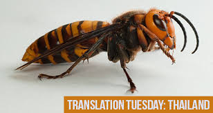 Nina pt de jimenez halloween. Translation Tuesday The Progress Of Josef K S Trial And The Appearance Of A Tiger Hornet By Phu Kradat Asymptote Blog