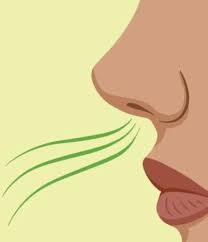 catboy (@catboy_gameing)  X