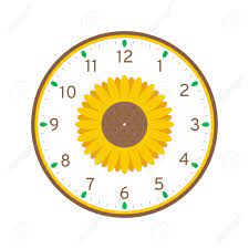 Use gl ue or spray adhesive to attach to cd or dvd. Sunflower Printable Clock Face Template Isolated On White Background Royalty Free Cliparts Vectors And Stock Illustration Image 126017635